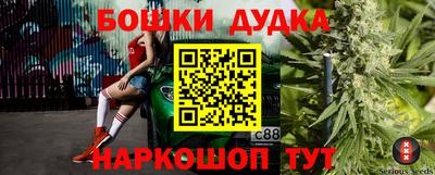 молекула духа Новокубанск