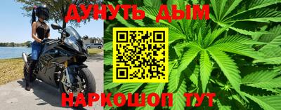 Альфа ПВП Новозыбков