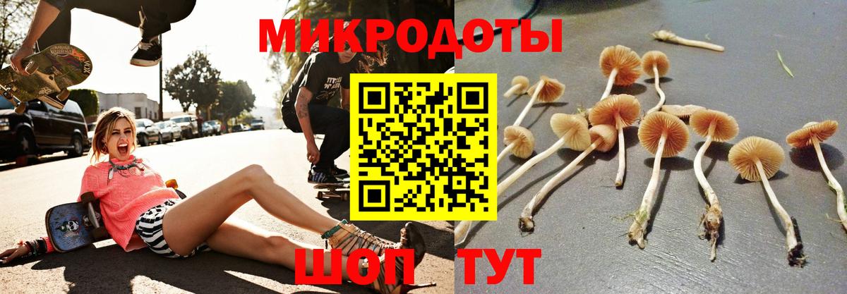 даркнет сайт  Псилоцибиновые грибы MAGIC MUSHROOMS  Алатырь  Вход с VPN  Галлюциногенные грибы прущие грибы 