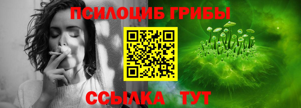 Галлюциногенные грибы Psilocybine cubensis Алатырь